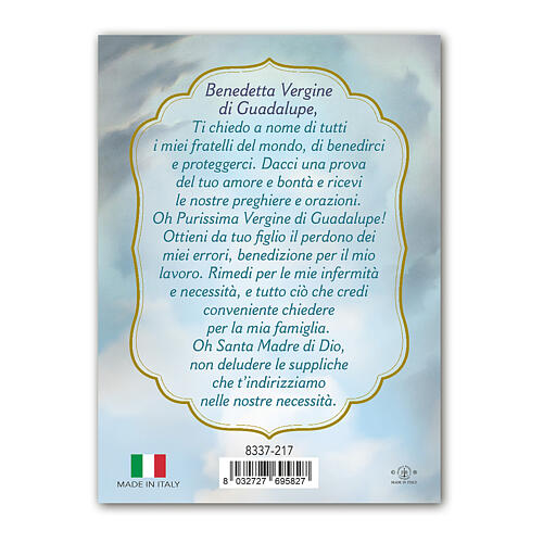 Aimant Notre-Dame de Guadalupe résine 8x5 cm 3