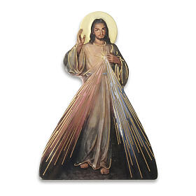 Tridimensional magnet with Divine Mercy 3x2 in