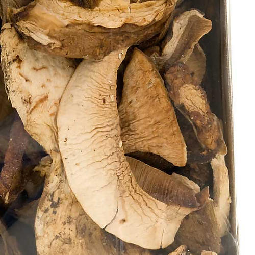 Italian dried Porcini mushrooms, Camaldoli 2