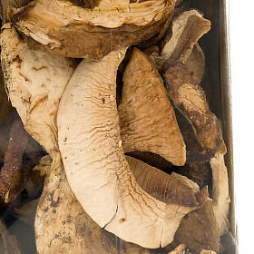 Oli e condimenti: Funghi porcini secchi italiani Camaldoli