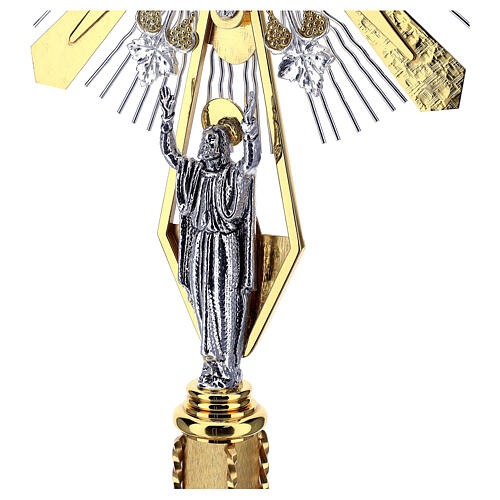 Ostensoir décoré avec vigne 6