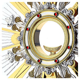 Ostensorio decorato vite s11