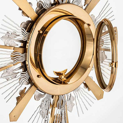 Monstrance for concelebration host grapes decoration 6