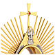 Ostensorio Madonna Sacro Cuore spighe e colomba spirito santo 50 cm s9