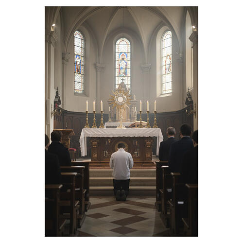 Bicoloured monstrance for magna host,  40 in 2