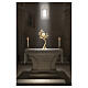 Ostensorio albero d'ulivo 50x30 cm ottone placcato oro 18kt Pical Arte s2