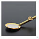 Spoon with pole for Eucharist distribution, 17.70 inc s2