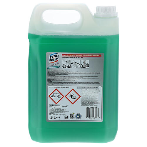 Tanque detergente Pro Formula Lysoform 5 litros 3