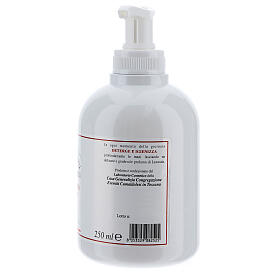 Desinfetante detergente para mãos Camaldoli 250 ml