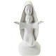 Mother Mary bust and Baby with open arms Pinton 19 cm s1