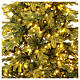 Dunant Slim Winter Woodland Christmas tree, 180 cm, green poly, 392 LED lights s7