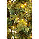 Weihnachtsbaum Poly Dunant Slim mit 568 LEDs Winter Wonderland grün, 210 cm s5