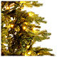 Weihnachtsbaum Poly Dunant Slim mit 568 LEDs Winter Wonderland grün, 210 cm s7