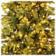 Dunant Slim Winter Woodland Christmas tree, 210 cm, green poly, 568 LED lights s3