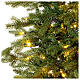 Dunant Slim Winter Woodland Christmas tree, 210 cm, green poly, 568 LED lights s4
