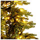 Dunant Slim Winter Woodland Christmas tree, 210 cm, green poly, 568 LED lights s7