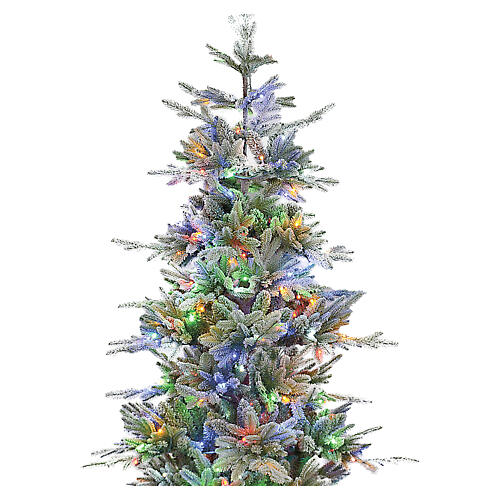 Weihnachtsbaum, Modell Bionnassay, 180 cm, Polyethylen, grün, 296 LEDs, RGB, Marke Winter Woodland 3