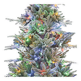 Weihnachtsbaum, Modell Bionnassay, 225 cm, Polyethylen, grün, 440 LEDs, RGB, Marke Winter Woodland