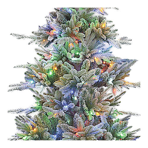 Green poly Bionnassay Winter Woodland Christmas Tree of 225 cm, 440 RGB LED lights 2