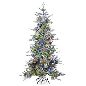 Sapin de Noël 225 cm 440 LEDs RGB Winter Woodland Poly Bionnassay