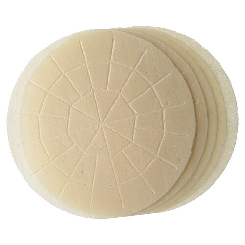 CAMPIONE PROVA Ostia magna 22 cm taglio chiuso 5 pz 2