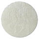 CAMPIONE PROVA Ostia magna IHS 7,5 cm taglio chiuso 25 pz s4