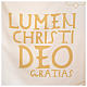 Casula liturgica con decori in oro s4