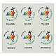 Casula Giubileo 2025 verde logo multilingue stampato colori s2