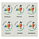 Casula rossa Giubileo 2025 logo multilingue stampato colori s2