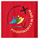 Chasuble Jubilee 2025 Latin embroidered logo Vatican fabric 4 colors s4