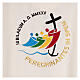 Chasuble Jubilee 2025 Latin embroidered logo Vatican fabric 4 colors s6