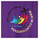 Chasuble Jubilee 2025 Latin embroidered logo Vatican fabric 4 colors s8