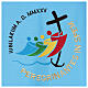 Casula azzurra Giubileo 2025 ricamo latino tessuto Vatican s2