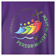 Casulla Jubileo 2025 tejido Vatican logotipo impreso 4 colores s8