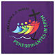 Purple antependium with printed official logo of 2025 Jubilee, Multilingual s3