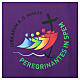 Official Jubilee 2025 logo altar cover, purple s2