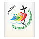Banner Slabbinck logo ufficiale Giubileo 2025 in francese 300x100 cm s2