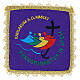 Jubilee 2025 embroidered chalice veil, pall in 4 liturgical colours s5