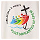 Dalmática Jubileo 2025 logotipo impreso 4 colores tejido Vatican s6