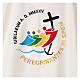 Dalmatica ricamata Giubileo 2025 4 colori liturgici tessuto Vatican s6