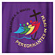 Embroidered Dalmatic Jubilee 2025 4 liturgical colors Vatican fabric s8