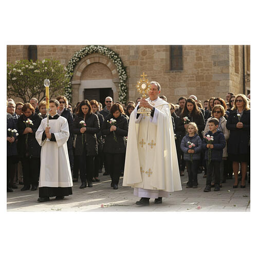 Pluvial liturgique croix bicolore argent et or motif éventail 2