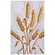 White alb, 100% polyester with ears of wheat and crosses, zip on the front and 4 folds s9