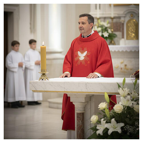 Casula e stola con ricamo damascato Spirito Santo 2