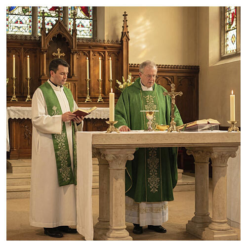 Priesterstola 100 % Polyester mit stilisierter floraler Stickerei in Goldfarbe 2