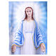 Casulla Virgen Milagrosa azul Confezioni Vebi s3