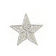 Estrela prateada 3 cm 5 pontas bordado termoadesivo s2