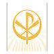 Banner Slabbinck giallo Pax 300x100 cm s2