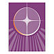 Banner von Slabbinck - Violett, Weihnachtsstern, 300x100 cm s3