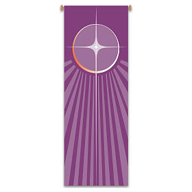 Banner Slabbinck viola stella di Natale 300x100 cm